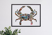 Crab photo collage template, a Poster Template by AIW SOLUTIONS (Thumbnail 2 of 3)