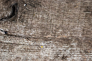 Natural wood texture patterns, a Background Photo by Schreibikus (Thumbnail 1 of 8)