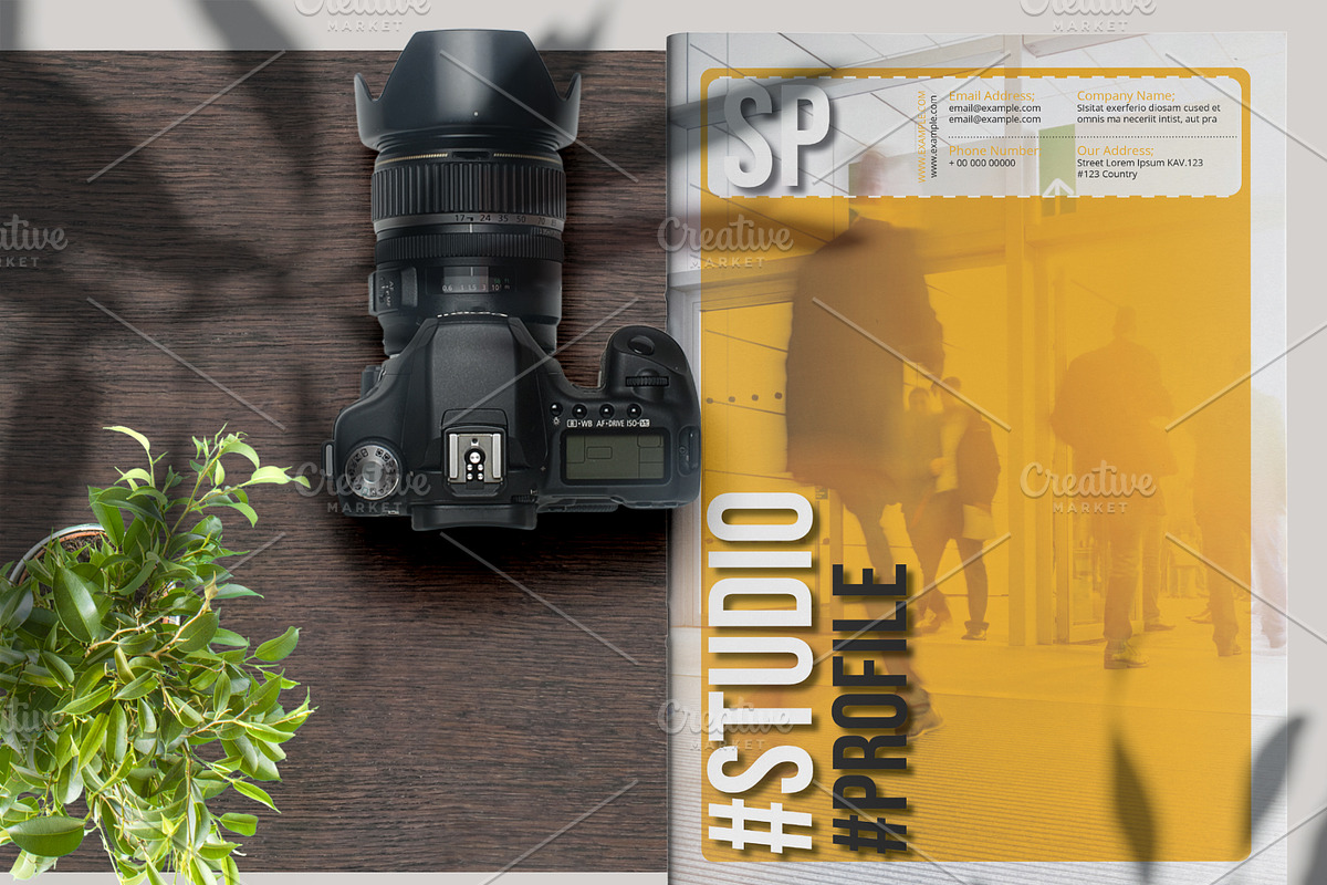 Indesign Company Profile/Portfolio, a Brochure Template by Bizz_District_Studio (Photo 1 of 2)