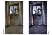 Lightroom Preset - Black Cat, an Action Add-On by Design Aesthetic (Thumbnail 4 of 12)