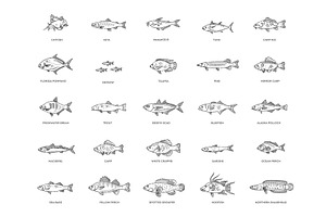 Types marine, ocean fish icons, an Animal Illustration by Tettygreen