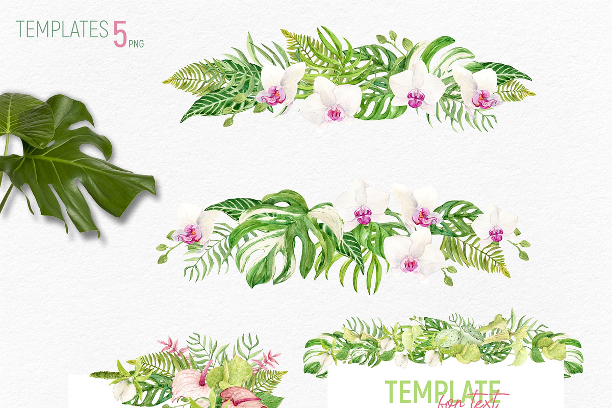 Tropical Flowers. Exotic flora set, an Illustration by Tata Pilip (Photo 10 of 21)
