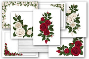 Set of white and red vector roses, an Illustration by belander (Thumbnail 10 of 10)