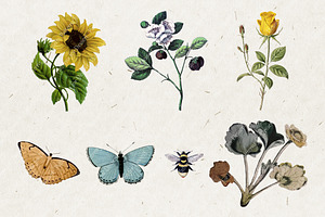 Vintage Dainty Clip Art Collection