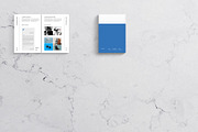 Brand Guidelines Template, a Brochure Template by DesignCrest (Thumbnail 13 of 14)