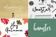 Modern Script Font Bundle, a Script Font by Creamy Script (Thumbnail 20 of 30)