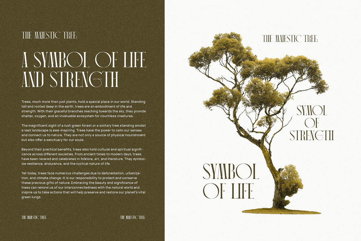 Guniper Elegant Serif Font Typeface, a Serif Font by Graphicxell (Photo 6 of 10)
