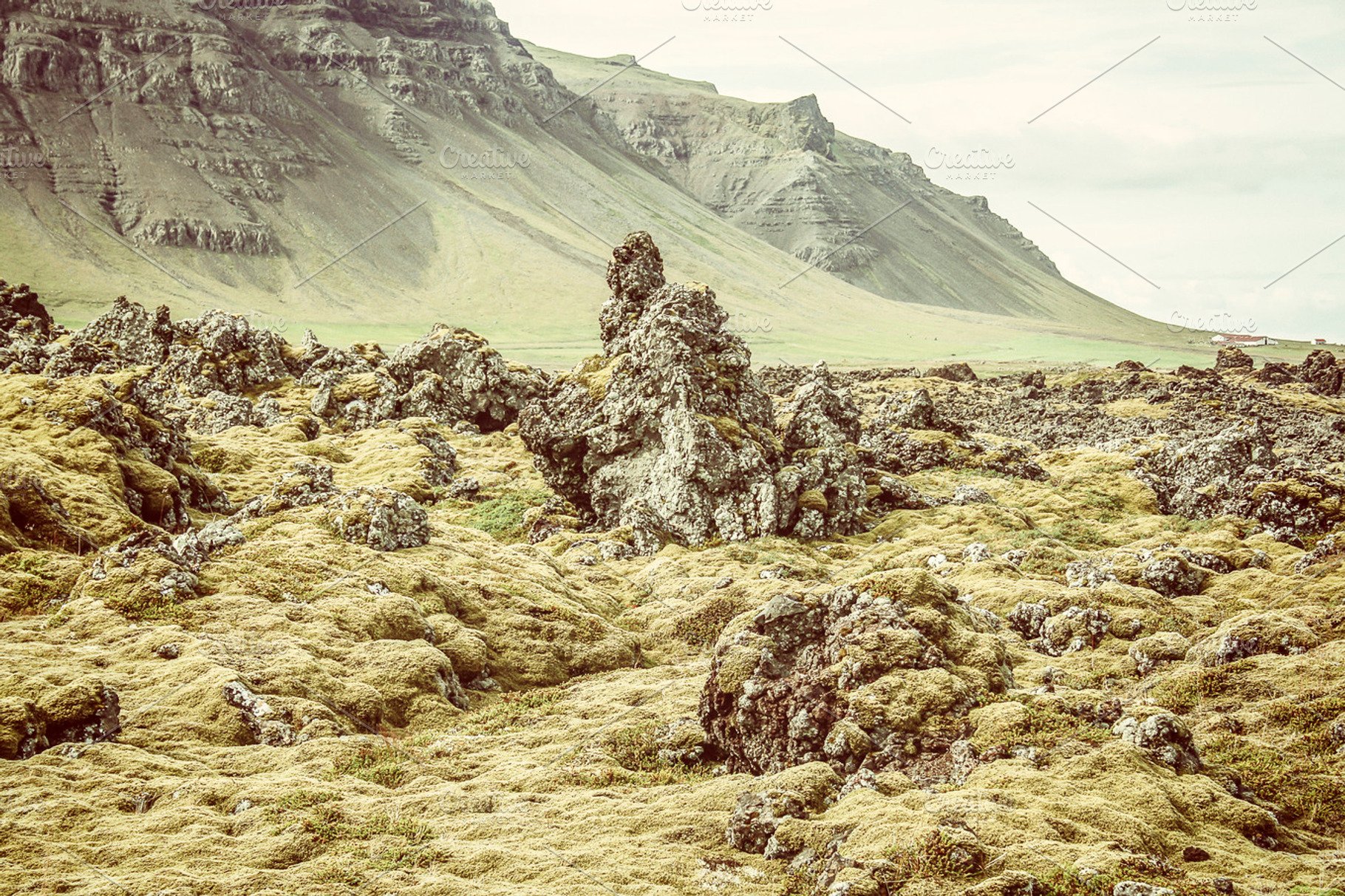 Volcanic Landscape In Iceland