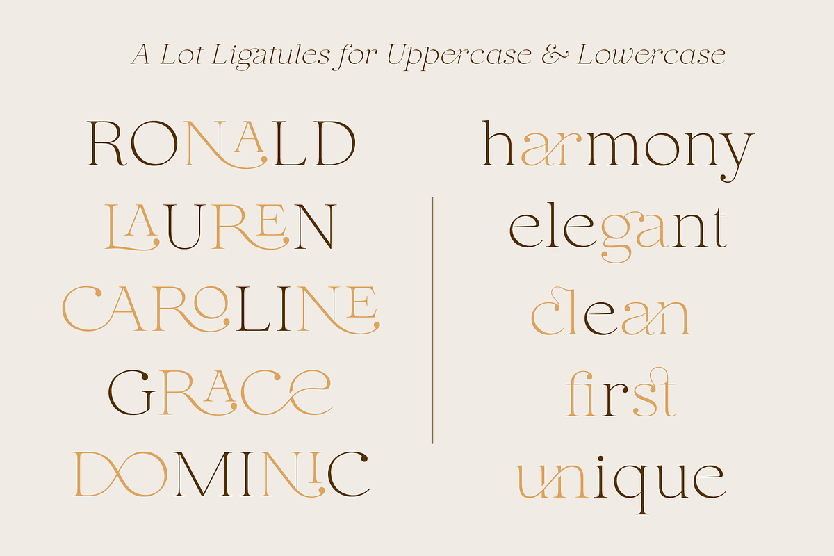 Puanto, a Serif Font by Larin Type Co. (Photo 5 of 15)