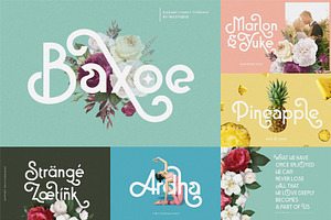 160 Studio Font Bundle 95% OFF