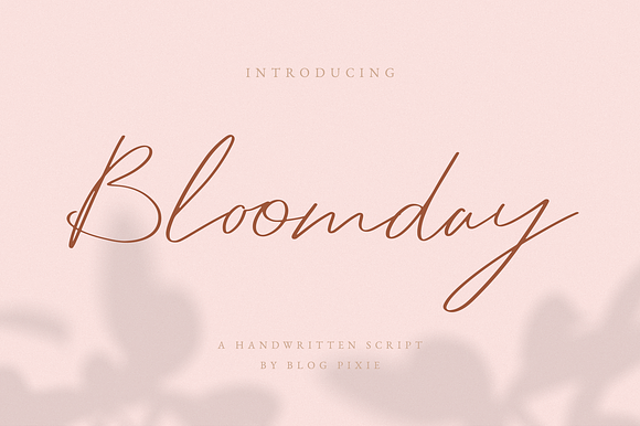 Bloomday Script Font preview 8