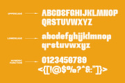Workmark - Ligature Sans Serif Font, a Sans Serif Font by Luna Shop (Thumbnail 2 of 6)
