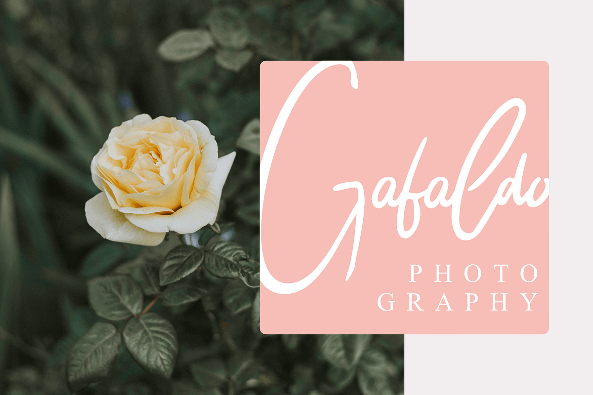 Wiltasso, a Script Font by Subqi Std (Photo 10 of 10)