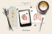 Medicine Vintage collection, a Healthcare Illustration by CrystalinaShop (Thumbnail 3 of 10)