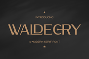 Waldecry A Modern Serif Font, a Serif Font by Storytype Studio (Thumbnail 1 of 15)