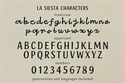 LaSiesta Handwritten Duo Sans Script, a Script Font by Struvictory.art (Thumbnail 5 of 9)
