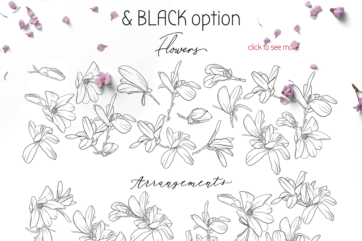 Magnolia Floral Design Pack, a Texture Illustration by JuDesign (Photo 3 of 16)