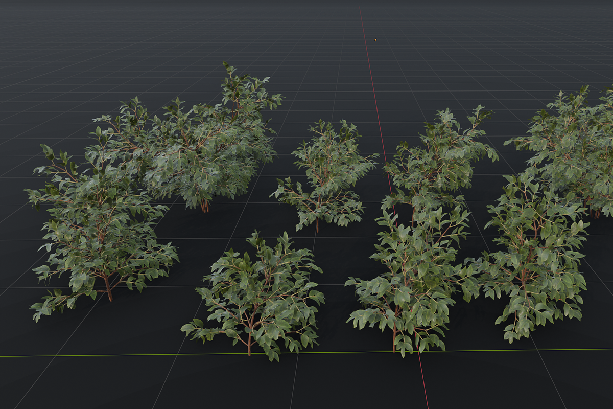 The Elderberry Bush, a Plants & Tree 3D Model by FuturePastCreatives (Photo 9 of 9)