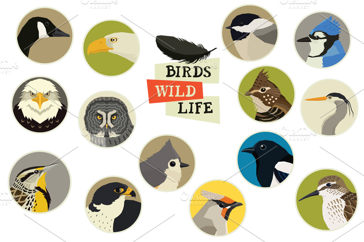 Forest wild life Birds, an Object Graphic by Nenilkime (Photo 2 of 2)