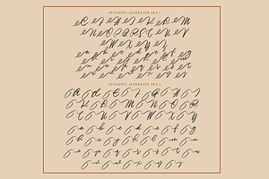 Mindplots A Calligraphy Font