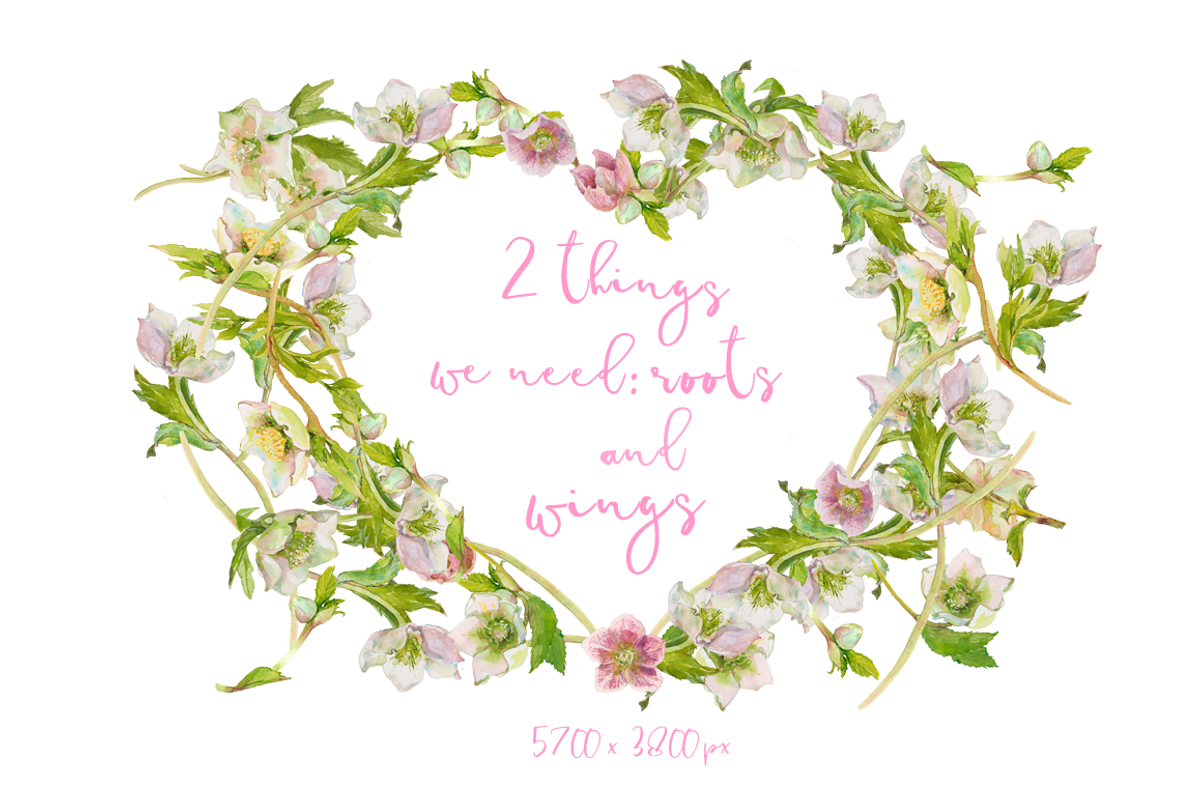Hearts-watercolor-Hellebore, an Illustration by watercolorwild.graphics (Photo 10 of 19)