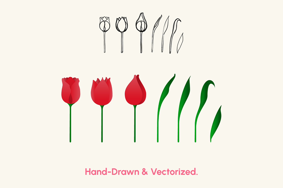 Vibrant Spring Flowers Toolkit, a Seasonal Illustration by Luis Batlle (Photo 2 of 5)