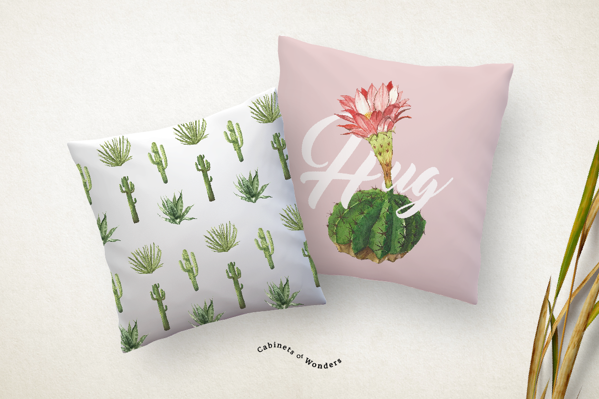 Cactus watercolor set, an Illustration by STUDIO CABINET (Photo 5 of 5)