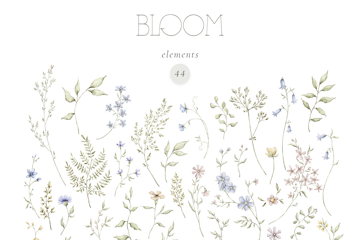 BLOOM Watercolor floral collection, a Decorative Illustration by Kreker Kate (Photo 9 of 9)
