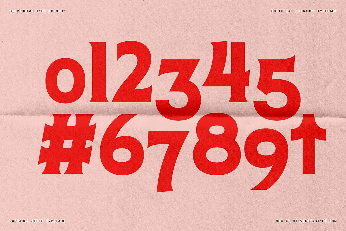 Arcilla — Variable Editorial Serif, a Serif Font by SilverStag Type Foundry (Photo 2 of 31)