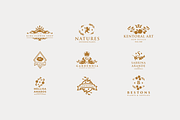 Elegant Feminine Botanical Branding, a Branding & Logo Template by Design_Planet (Thumbnail 10 of 12)