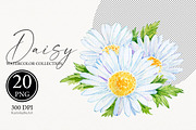 Watercolor Daisy flower clipart 20, an Object Graphic by KarinkaBU (Thumbnail 4 of 5)