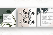 8 Pack Instagram Social Palm Layouts, a Templates & Theme by Aloha Philly (Thumbnail 4 of 7)
