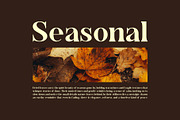 Ebotra || Modern Classy Serif Font, a Serif Font by Ermedia Studio (Thumbnail 8 of 10)