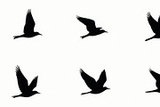 Flying Bird Silhouette Bundle, an Illustration by Creativeshirt (Thumbnail 7 of 10)