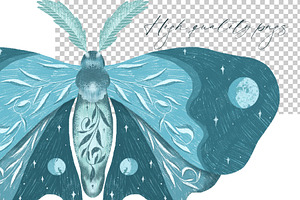 Luna Moth Clipart & Pattern