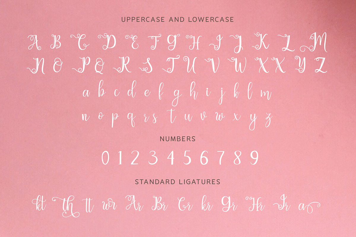 Chathaleya - Modern Script, a Script Font by Lemon Studio Type (Photo 4 of 6)