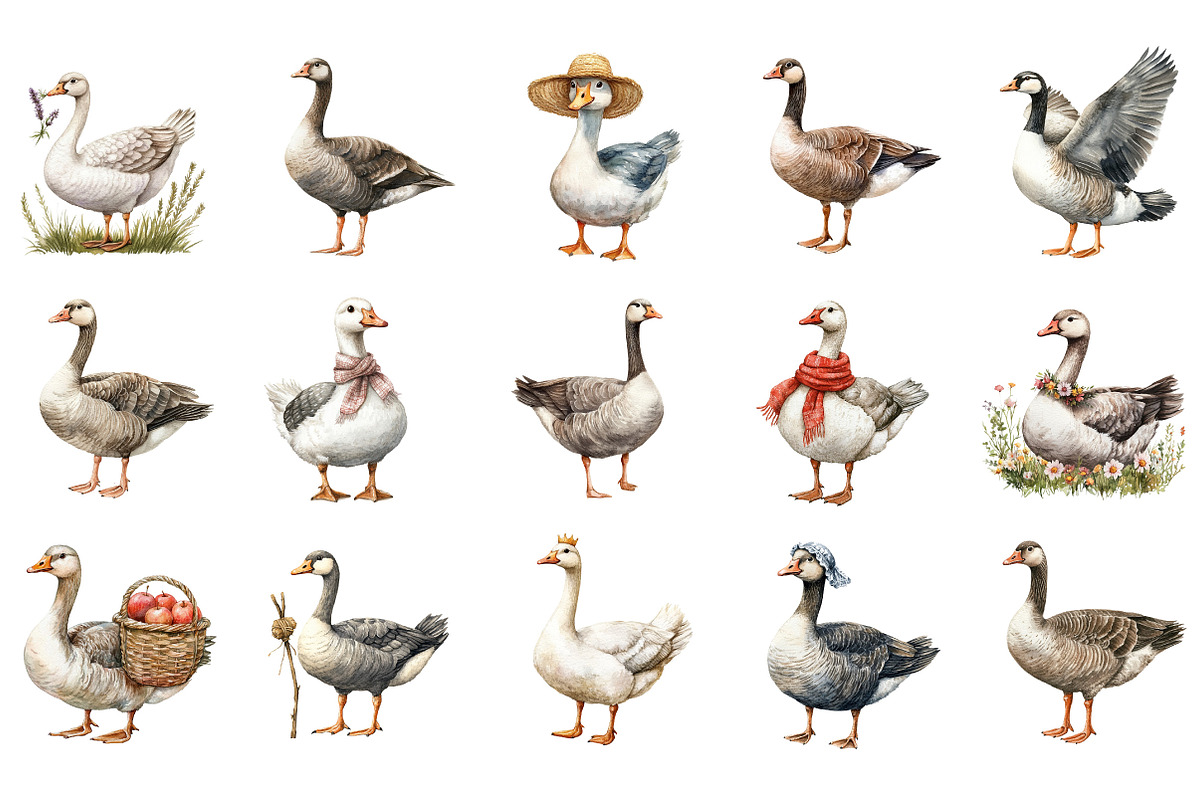 Watercolor Rustic Goose Clipart, an Illustration by Designking (Photo 3 of 5)