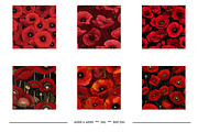 Remembrance Day Poppies, a Pattern Graphic by karenfoleyphoto (Thumbnail 2 of 7)