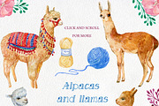 Alpacas and llamas .watercolor, an Animal Illustration by MitrushovaArt (Thumbnail 3 of 7)