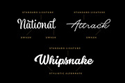 Dallas Print Shop Font Bundle, a Sans Serif Font by Fenotype (Thumbnail 11 of 12)