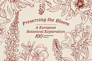 Preserving the bloom 100 flowers, a Decorative Illustration by Visual Animal (Thumbnail 1 of 10)