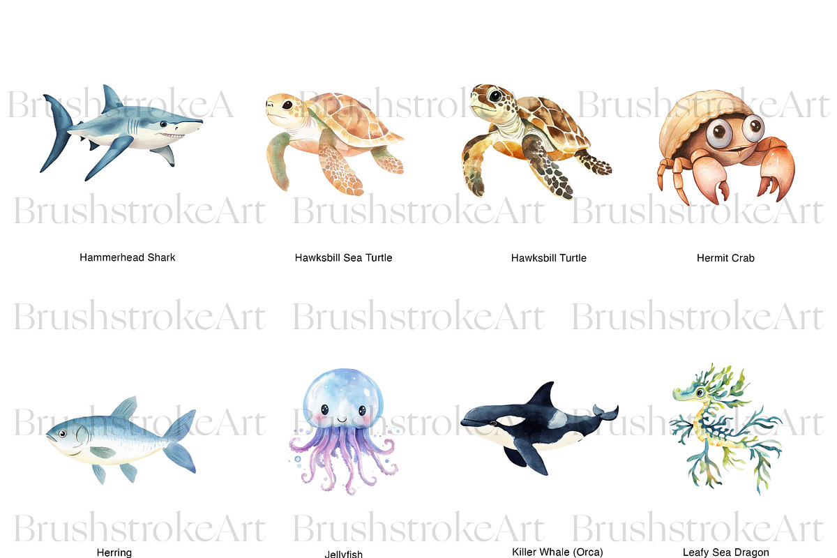 Sea Animals Clipart, Clown Fish PNG, an Animal Illustration by BrushstrokeArtGB (Photo 3 of 9)