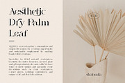 Shalomita, a Serif Font by Burntilldead (Thumbnail 4 of 14)