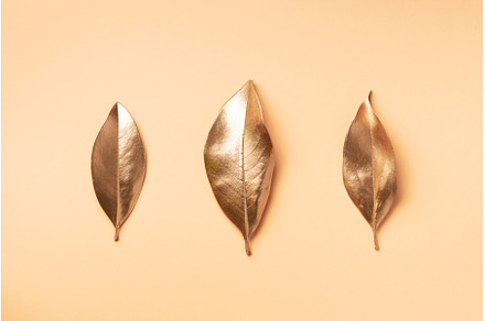 Golden leaves on nude background, a Nature Photo by Enjoy Photo