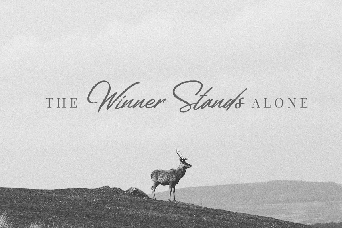 Welinedion, a Script Font by Aantebas (Photo 3 of 5)