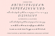 Sugar Muse Script, a Handwritten Font by Beck McCormick (Thumbnail 10 of 10)