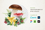 Forest Mushrooms Watercolor Clipart, a Decorative Illustration by AnitaPol (Thumbnail 13 of 21)