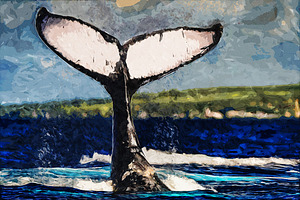 Whale