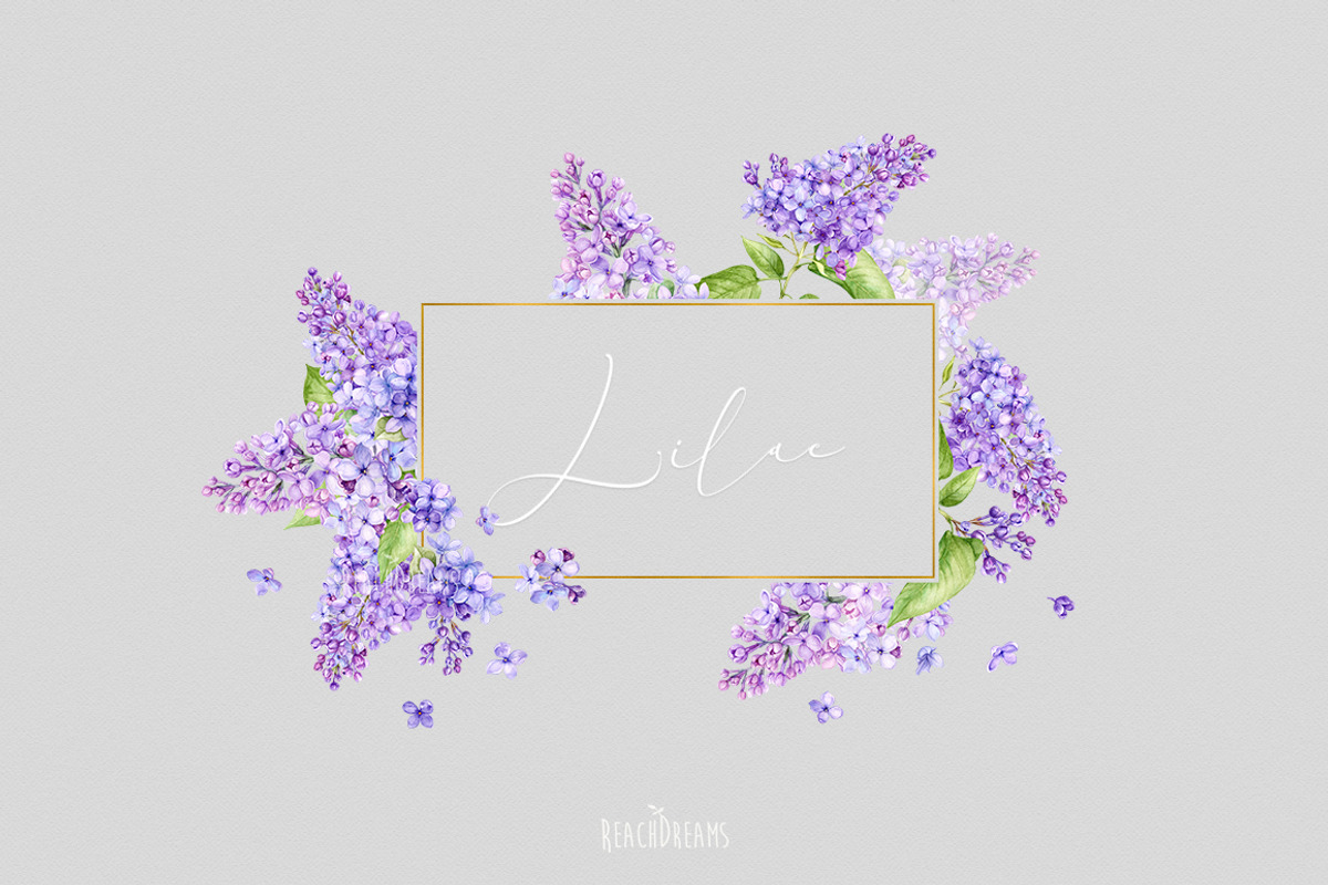Watercolor Lilac Floral Clipart, a Decorative Illustration by ReachDreams (Photo 9 of 10)