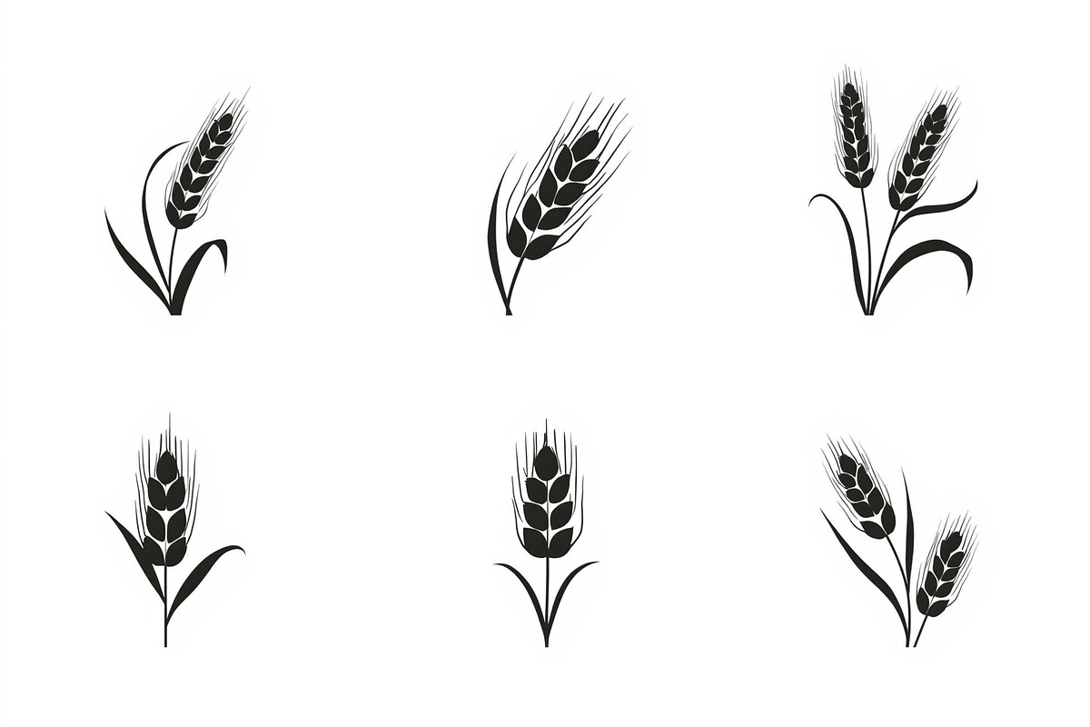 Grass & Wheat Files, an Illustration by jahid234 (Photo 7 of 9)